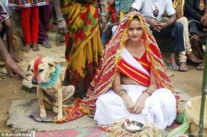 Indian teen marries stray dog