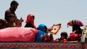 Afghans